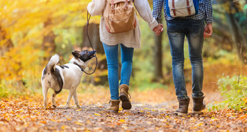 couple with dog in autumn